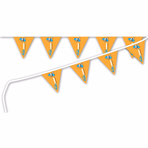 Triangle Pennant String Flags