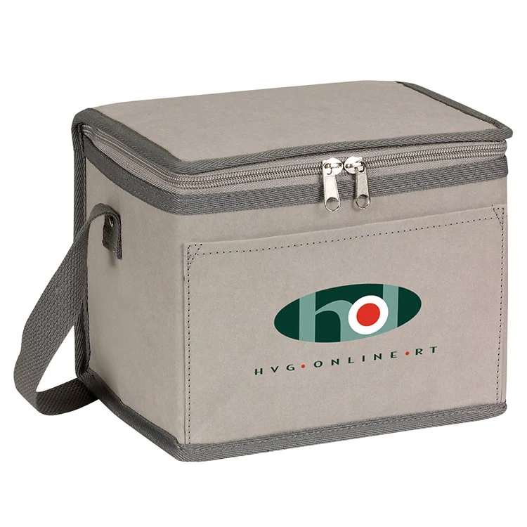 Classic Insulated 6 Pack Cooler 1