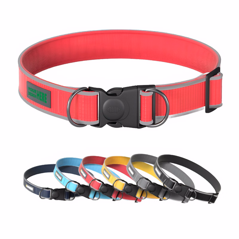 MOQ 50 Anti-Escape Reflective Dog Collar with Adjustable Strap