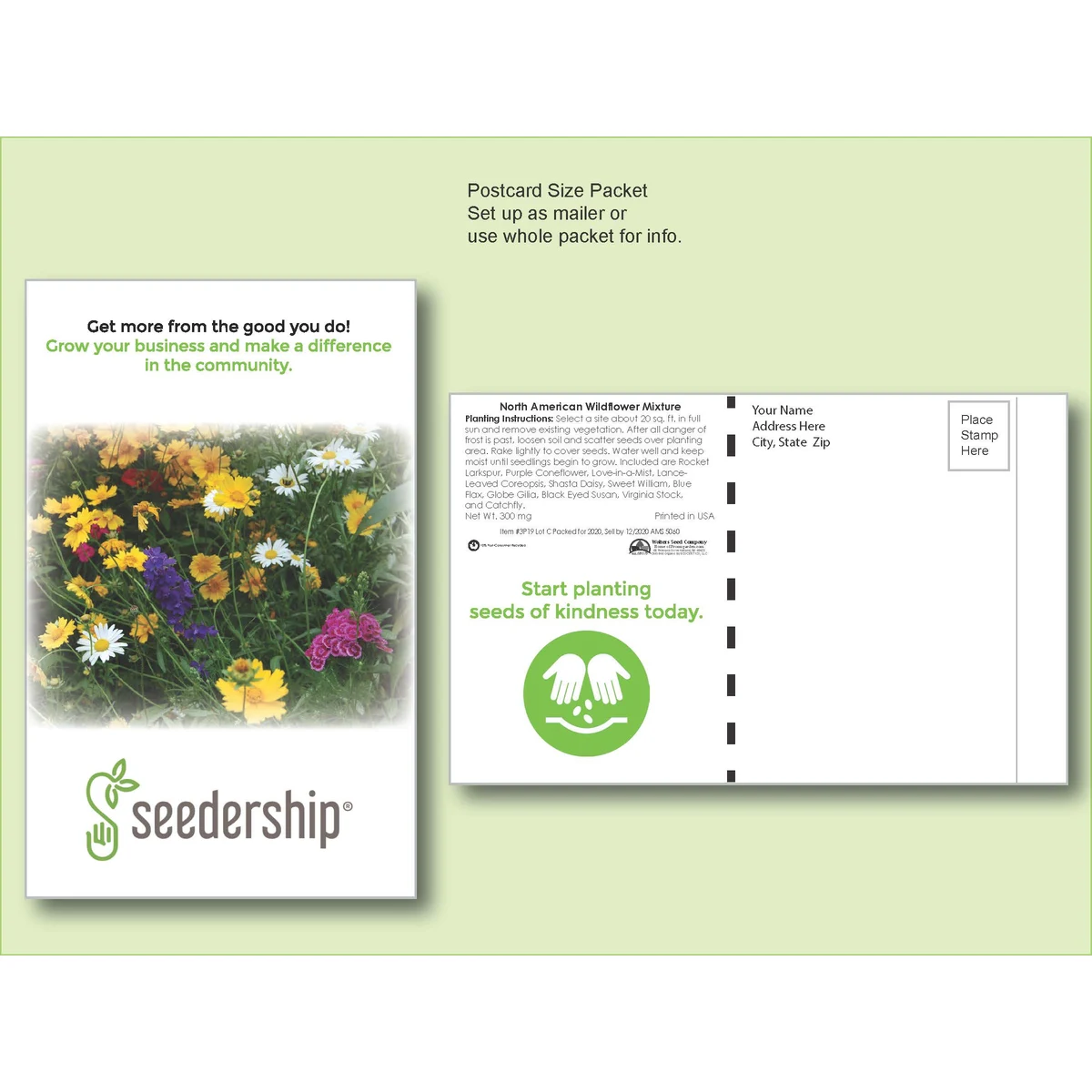 Wildflower Mixture - 11 Variety - Seed Packet - Postcard Mailer Size 4" x 6.5" 1