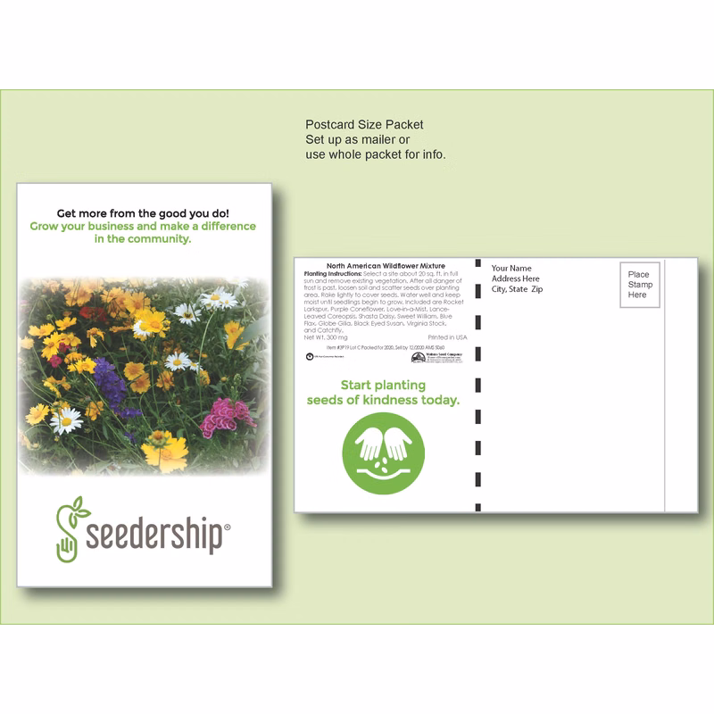 Wildflower Mixture - 11 Variety - Seed Packet - Postcard Mailer Size 4" x 6.5"