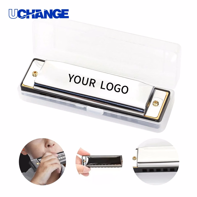 Ten Hole Harmonica Music Instrument with Storage Case