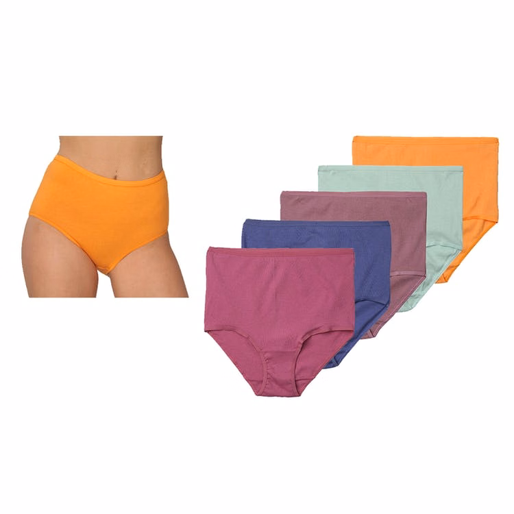 Women's Briefs - Assorted Colors 8-10 Cotton/Spandex