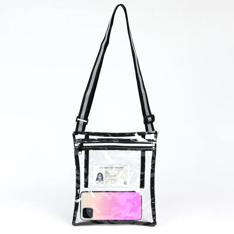 Eco Friendly Clear Purse/ Satchel 1