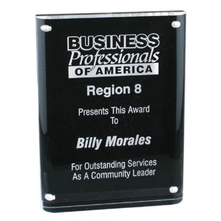 6" x 8" Magnetic Acrylic Award 1