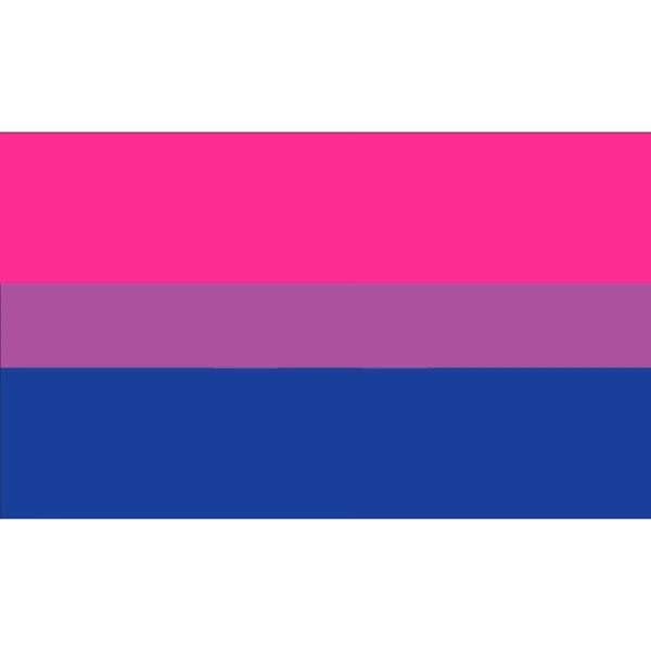 Bisexual Stick Flag