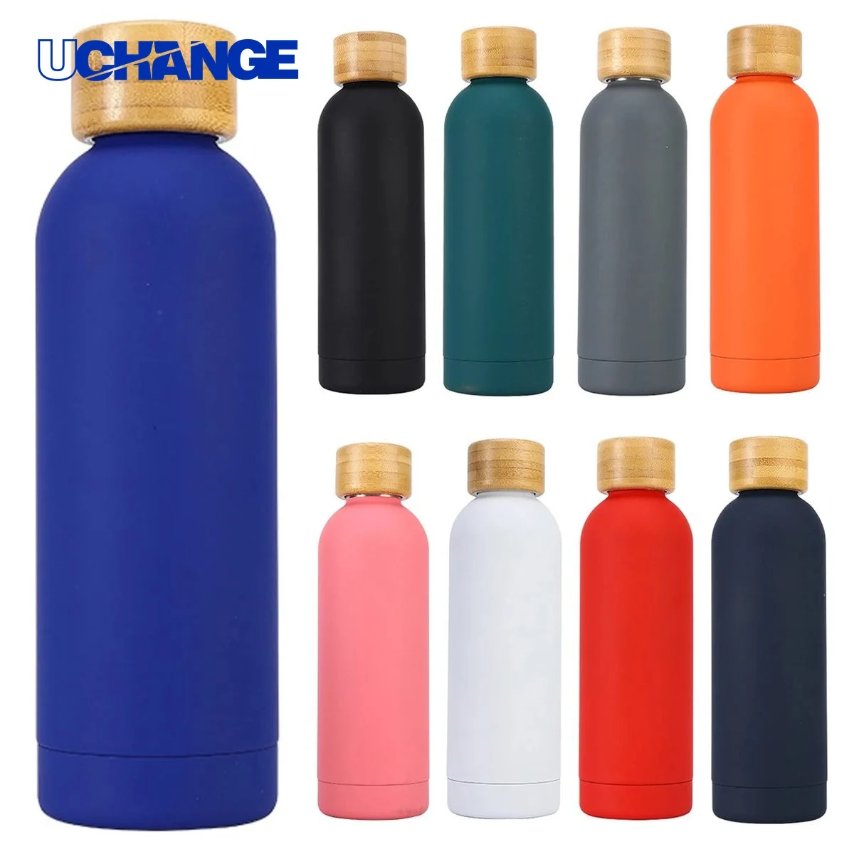 Double Wall Stainless Steel Bottle Container (17 oz), custom water bottle with logo imprint 1