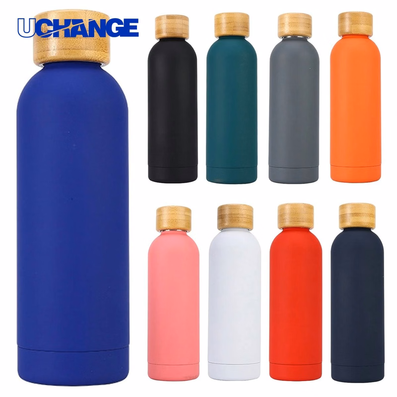 Double Wall Stainless Steel Bottle Container (17 oz)