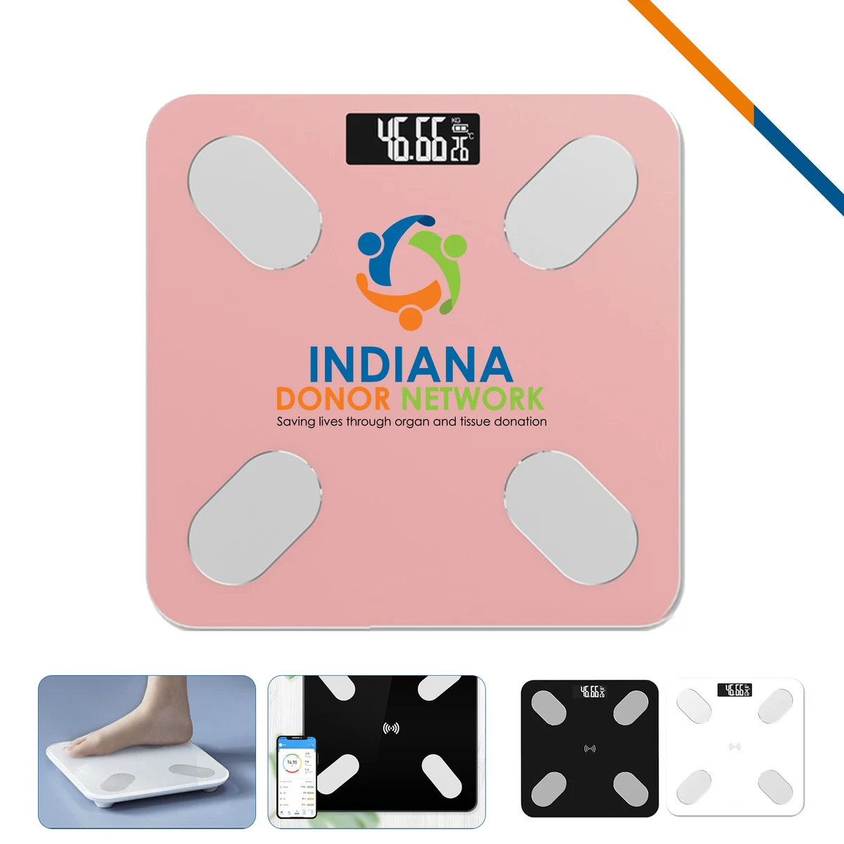 Pichol Electronic Scale 1