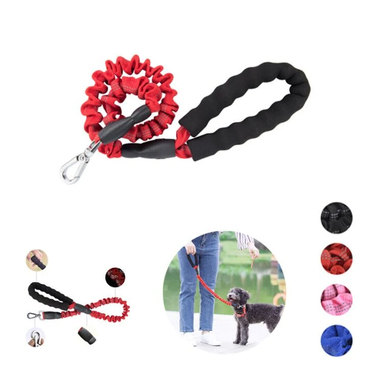 Pet Extension Leash 1
