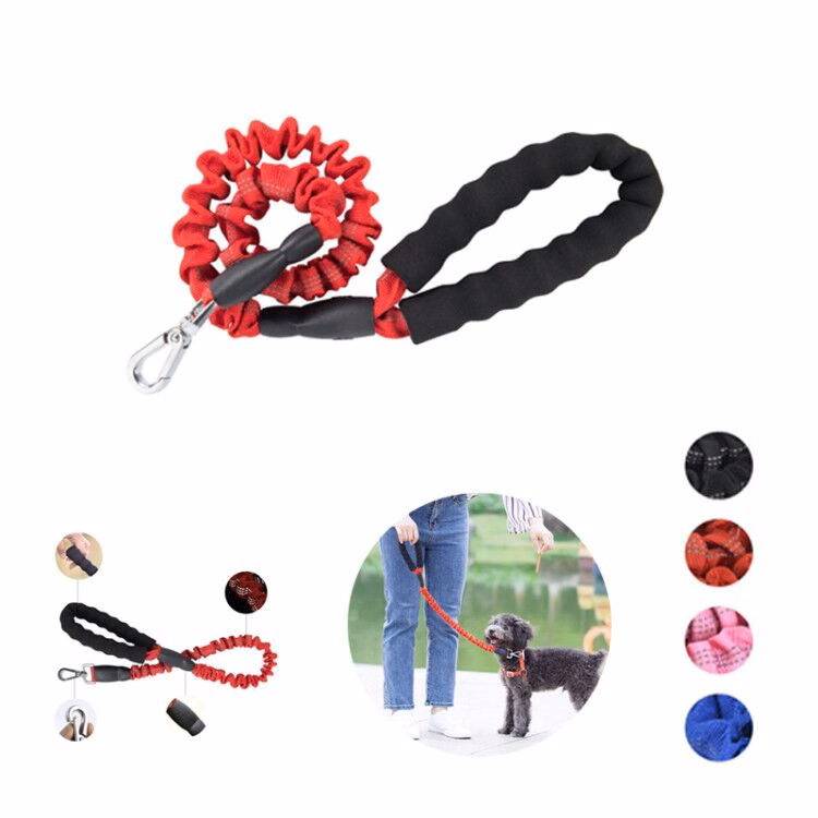 Pet Extension Leash