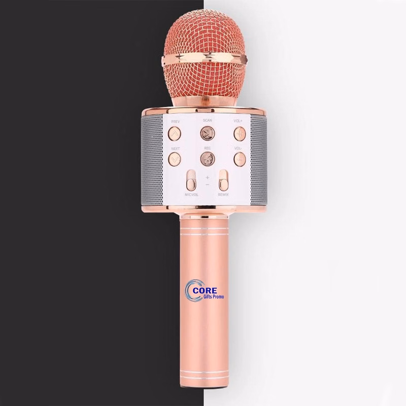 Wireless Microphone Karaoke Speaker