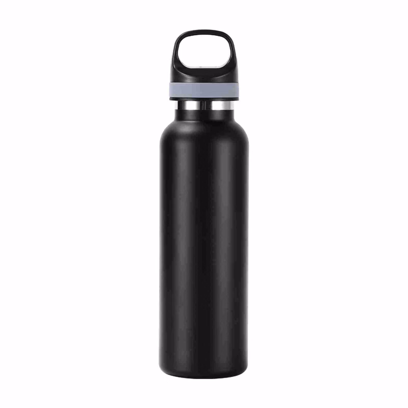 20oz Stainless Steel Water Bottle with Carry Handle Grip