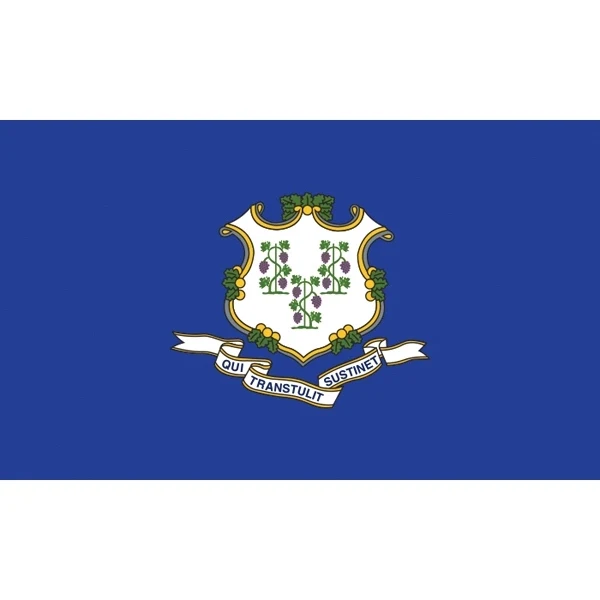 Connecticut Official Flag 1