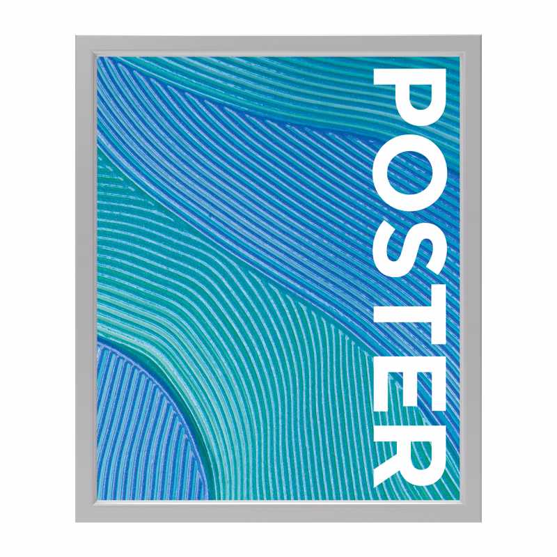 Trappa Snap Edge Poster Frame (20"x24")