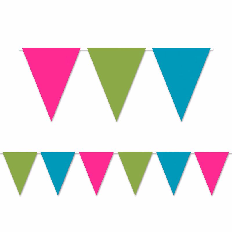 CLGT Indoor/Outdoor Pennant Banner