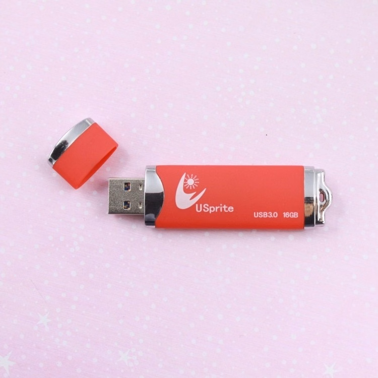 Concise Style Rectangle 2GB USB Flash Drives