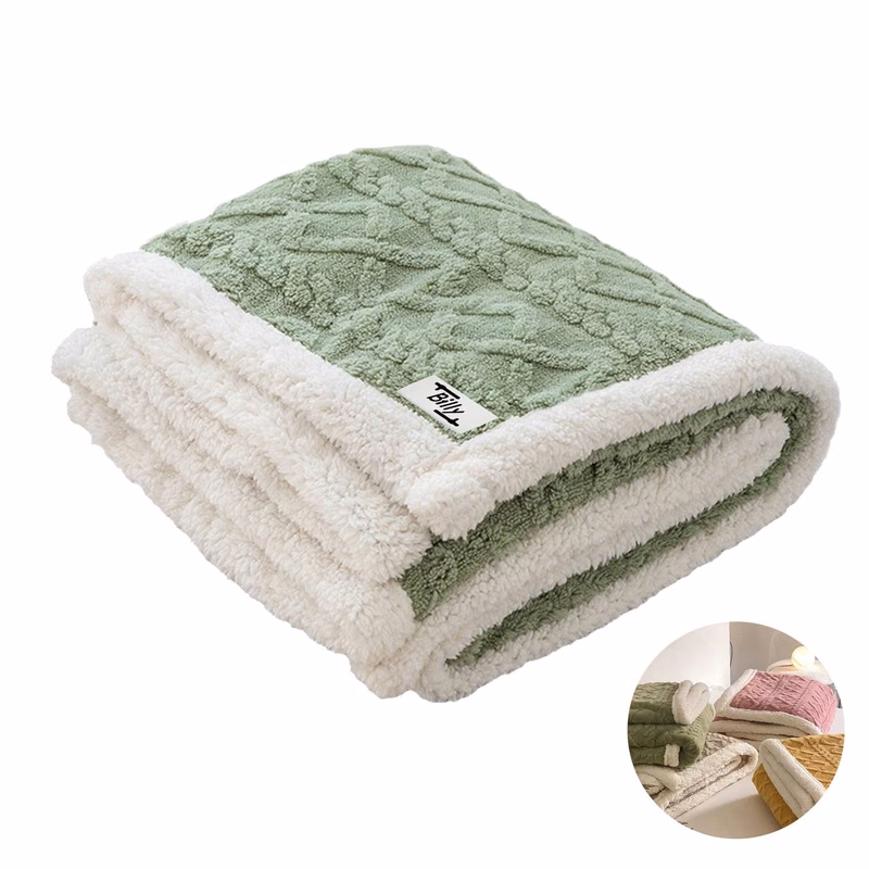 Thick Warm Plush Fleece Reversible Blanket for Bed