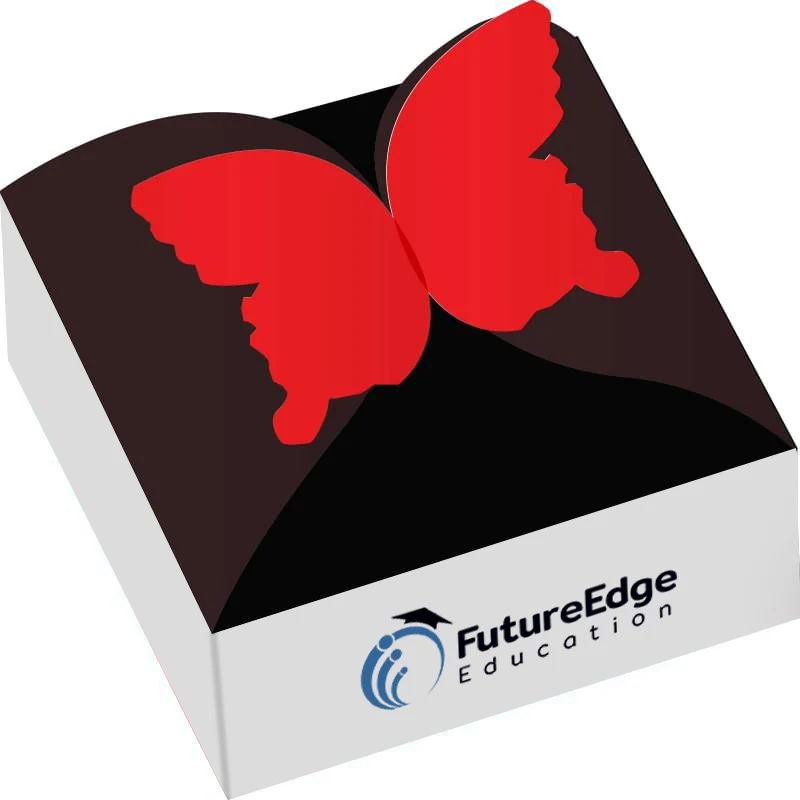 Custom Butterfly-Shaped Gift Box 1