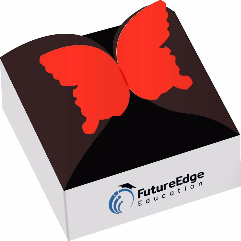 Custom Butterfly-Shaped Gift Box