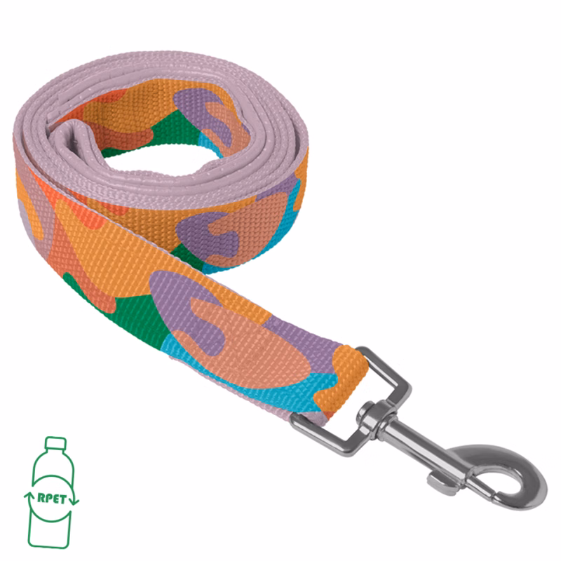 RPET Loop Handle Pet Leash with Snap Carabiner