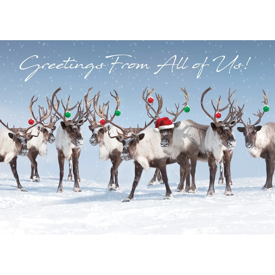 Antler Chandelier Holiday Cards 1