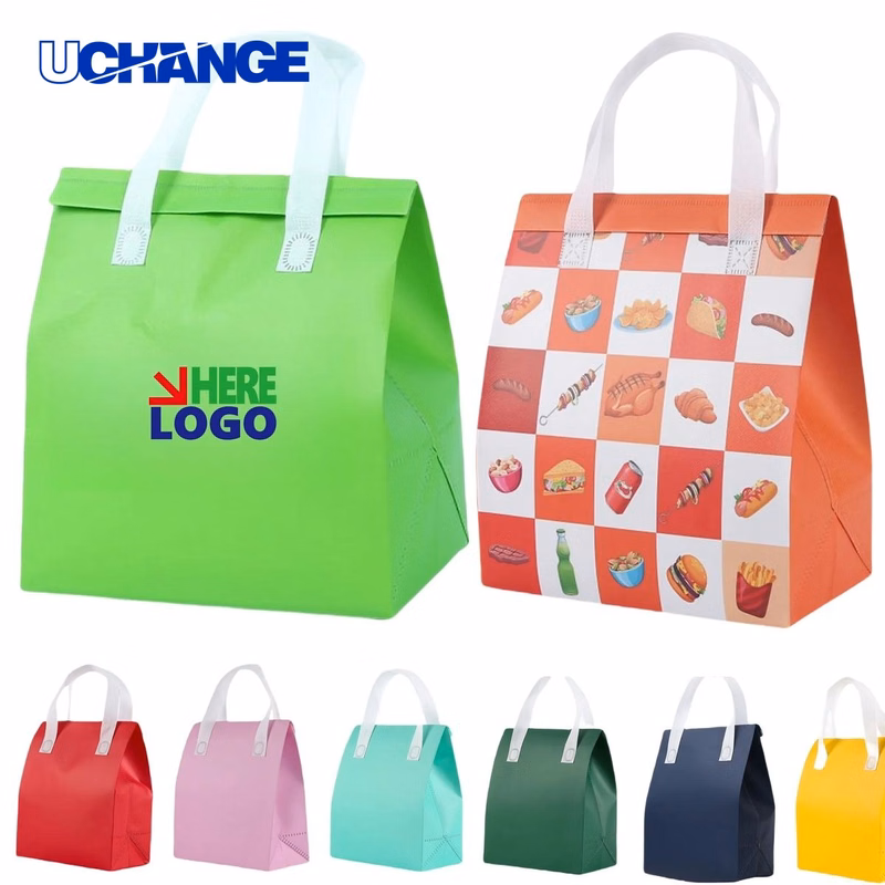 Insulated Picnic Lunch Tote Bag