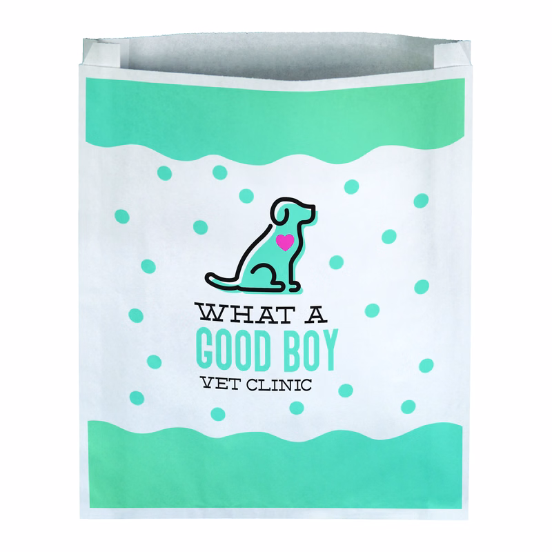 Full Color 1-Sided Large Merchant Paper Bag (12" x 15" x 2.5")