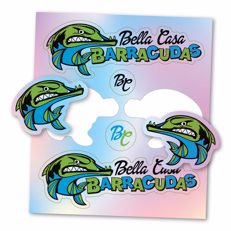 Rainbow Holographic Custom Decal Sticker Sheet - 20 - 24 Square Inch