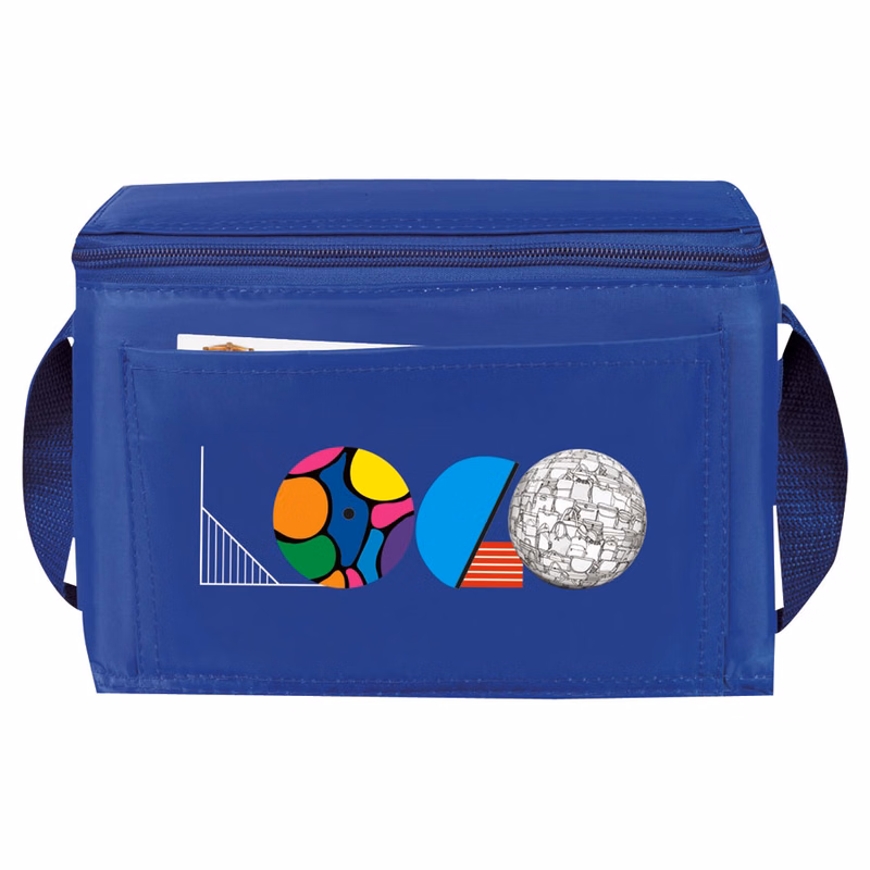 6 Pack Economy Lunch Cooler Bag