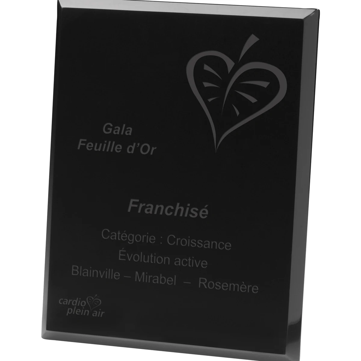 Black Radiant Plaques 3/8" Acrylic (8"x 10") Laser Engraved 1