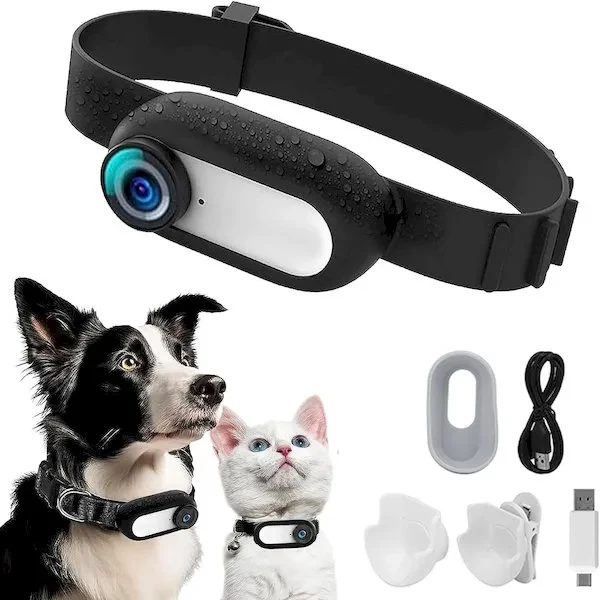 Pet Supplies Cat Dog Collar Camera Outdoor Sports Camera Vid 1