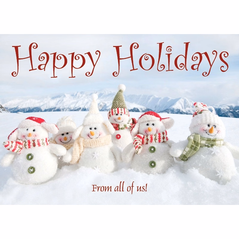Snow Gang Holiday Greeting Card