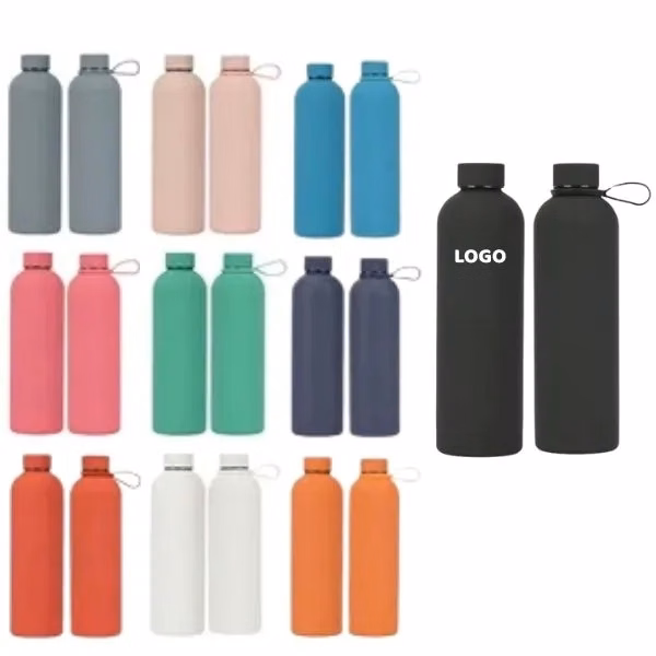 Stainless Steel Water Bottle with Insulated 17 oz