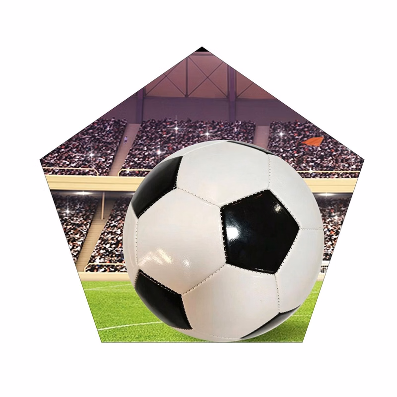 Size 5 Personalized Logo Football
