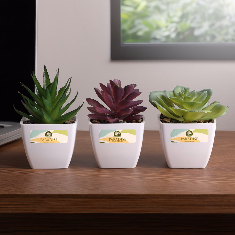 Sprout Artificial Succulent