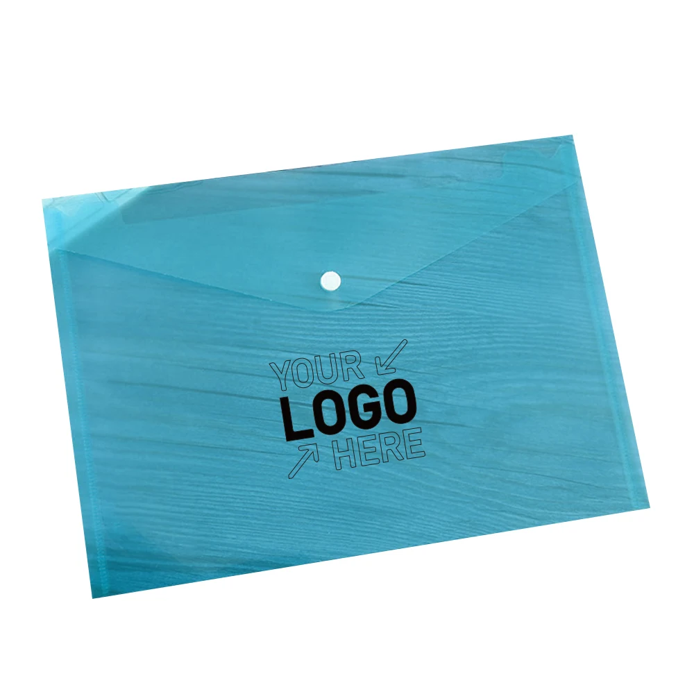 Transparent Snap Document Bag 1