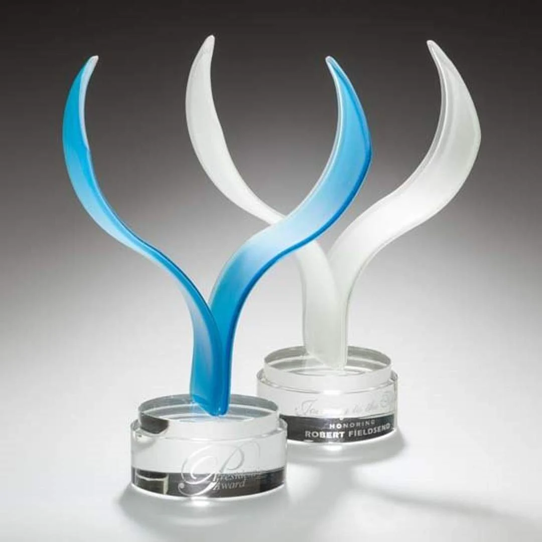 Aerial Award 1