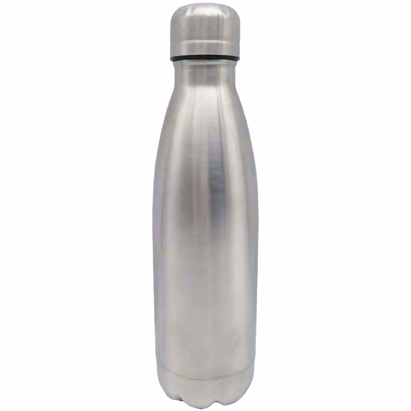 17 oz Stainless Bottle with Stainless Lid