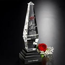 Epitome Award 1