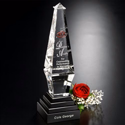 Epitome Award