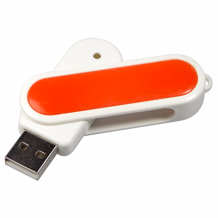 1800FMS - Flash Memory Drive V2.0