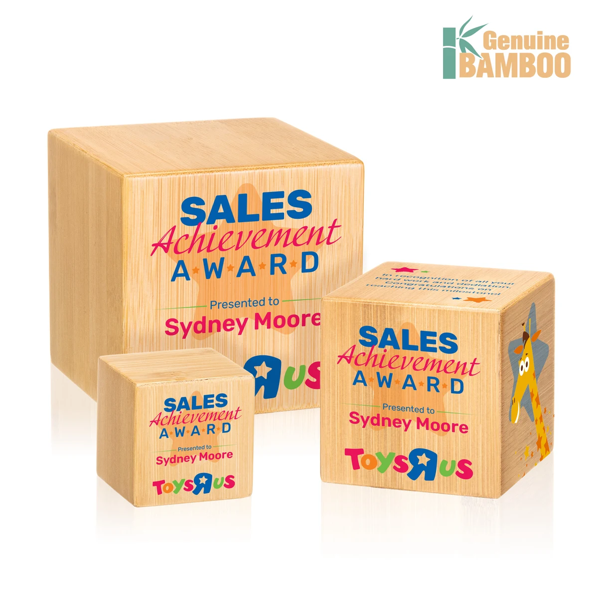 Kenilworth VividPrint™ Cube Award 1