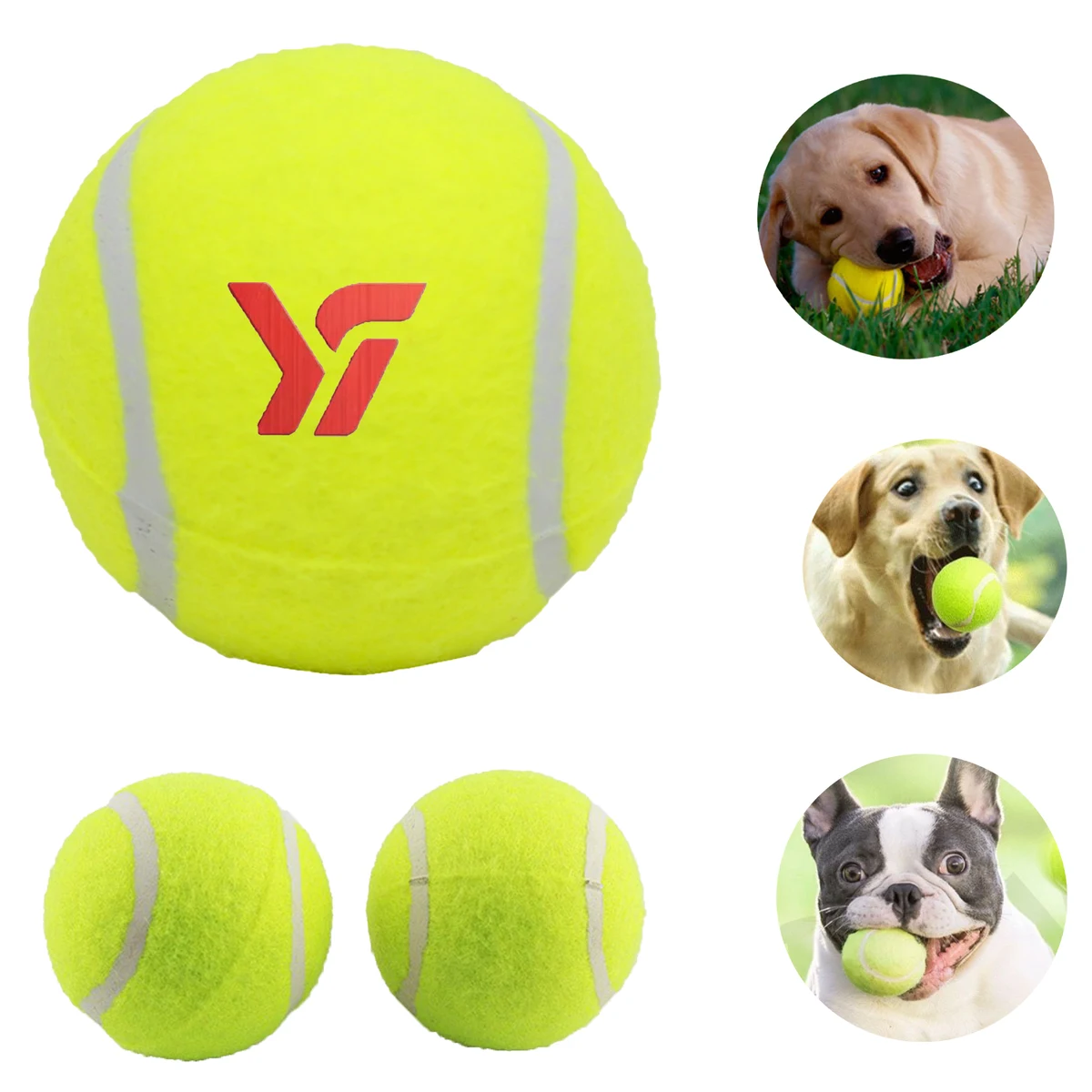 Pet Dog Toy Tennis Ball 1