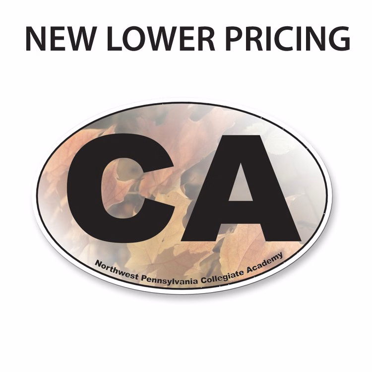 30 Mil Small Oval Car Magnet - Full Color