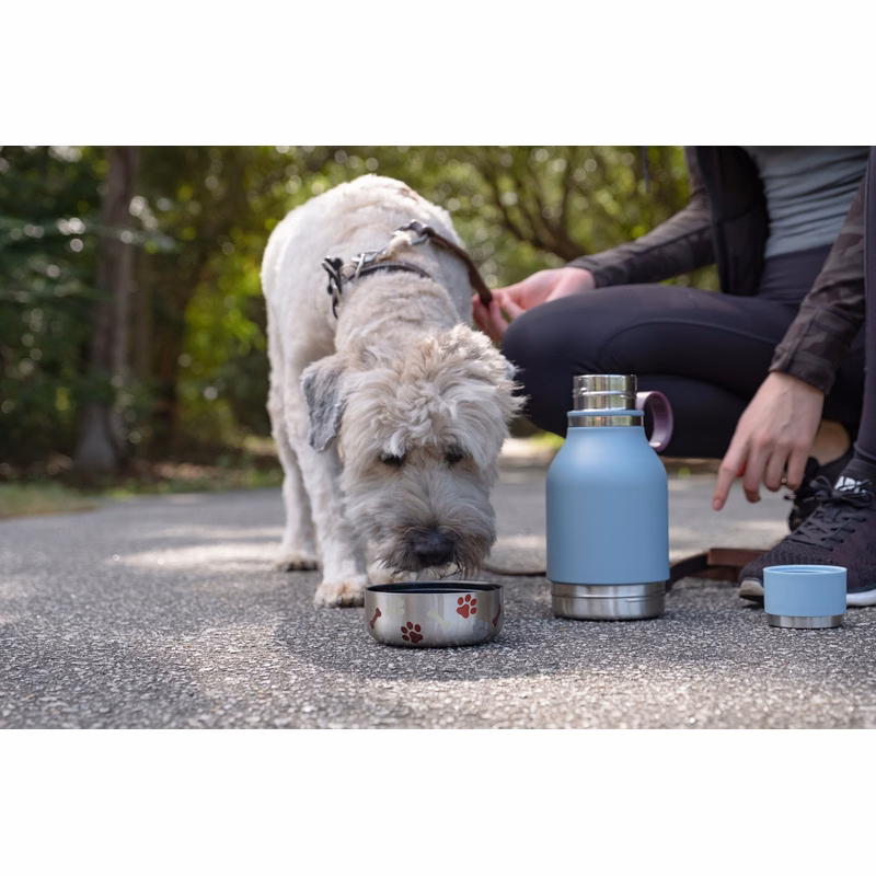 33 oz Asobu Dog Bowl Bottle
