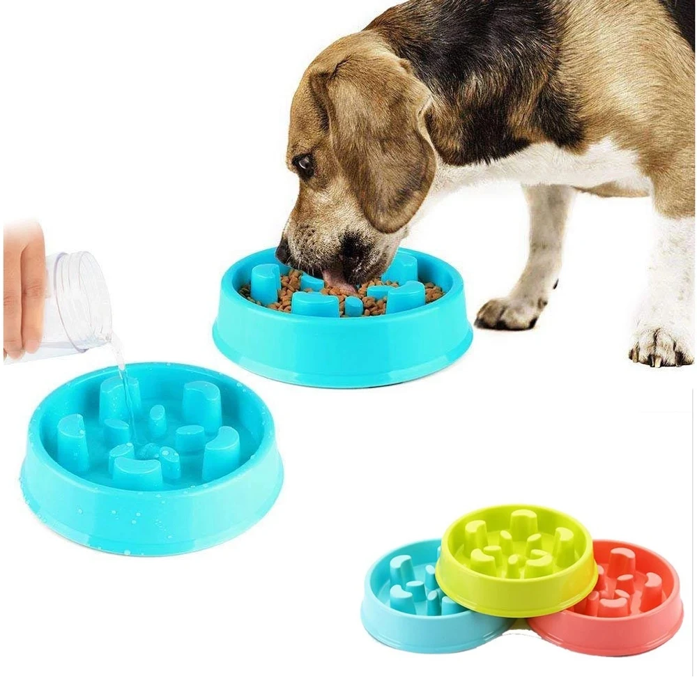 Dog Feeder Slow Eating 1