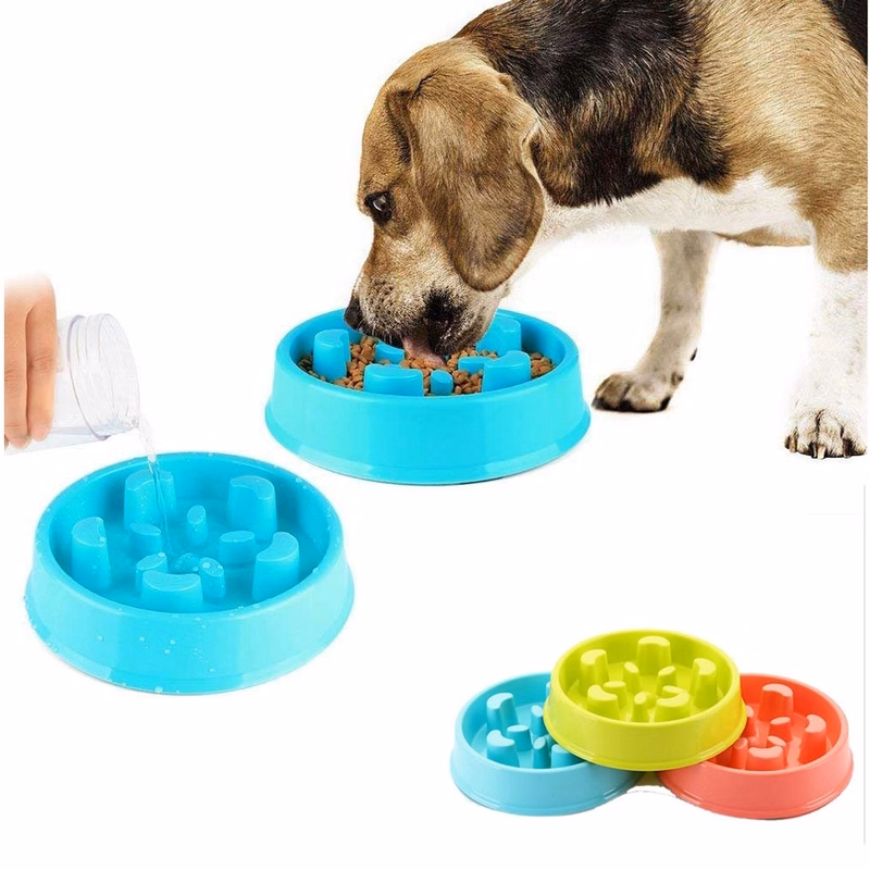 Dog Feeder Slow Eating