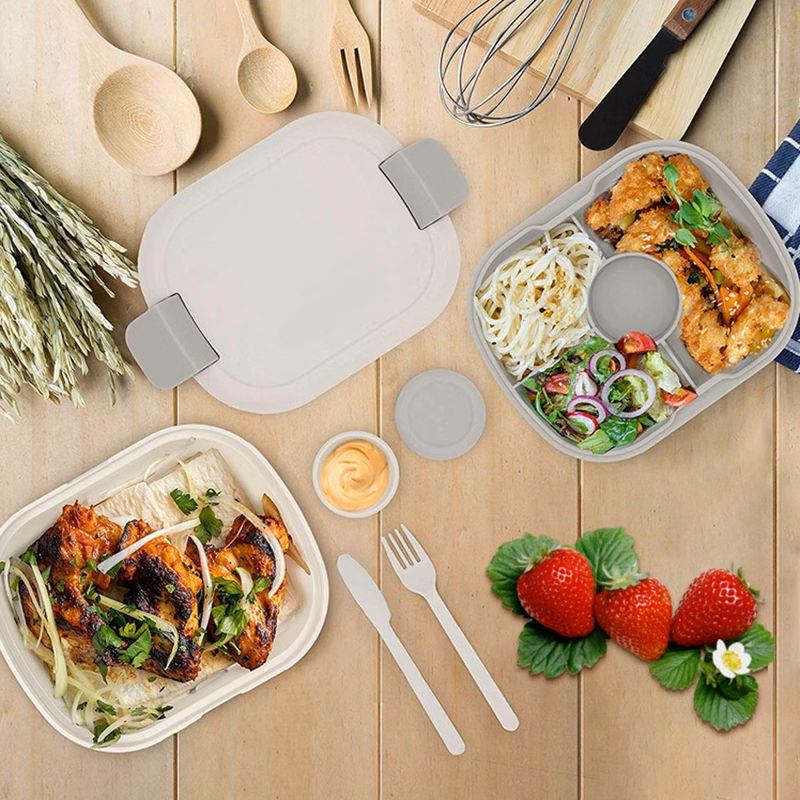 Large Salad Bowl Bento Lunch Box