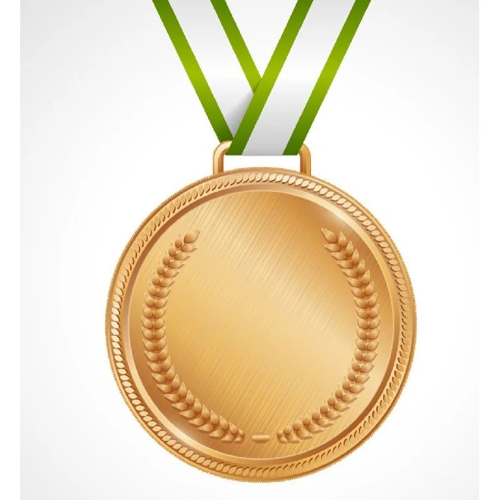 Customized Shiny Copper Plated Zinc Alloy Medal 1